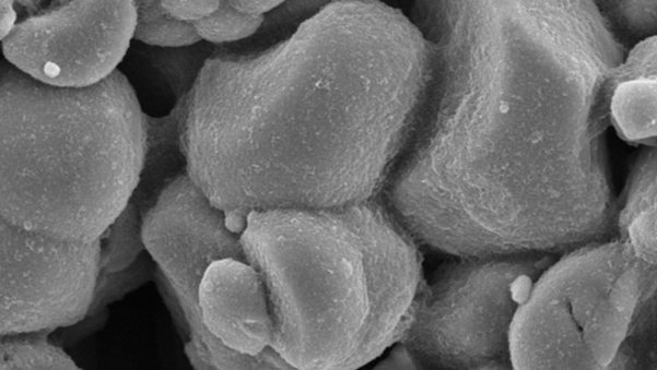 Cathode Material Development